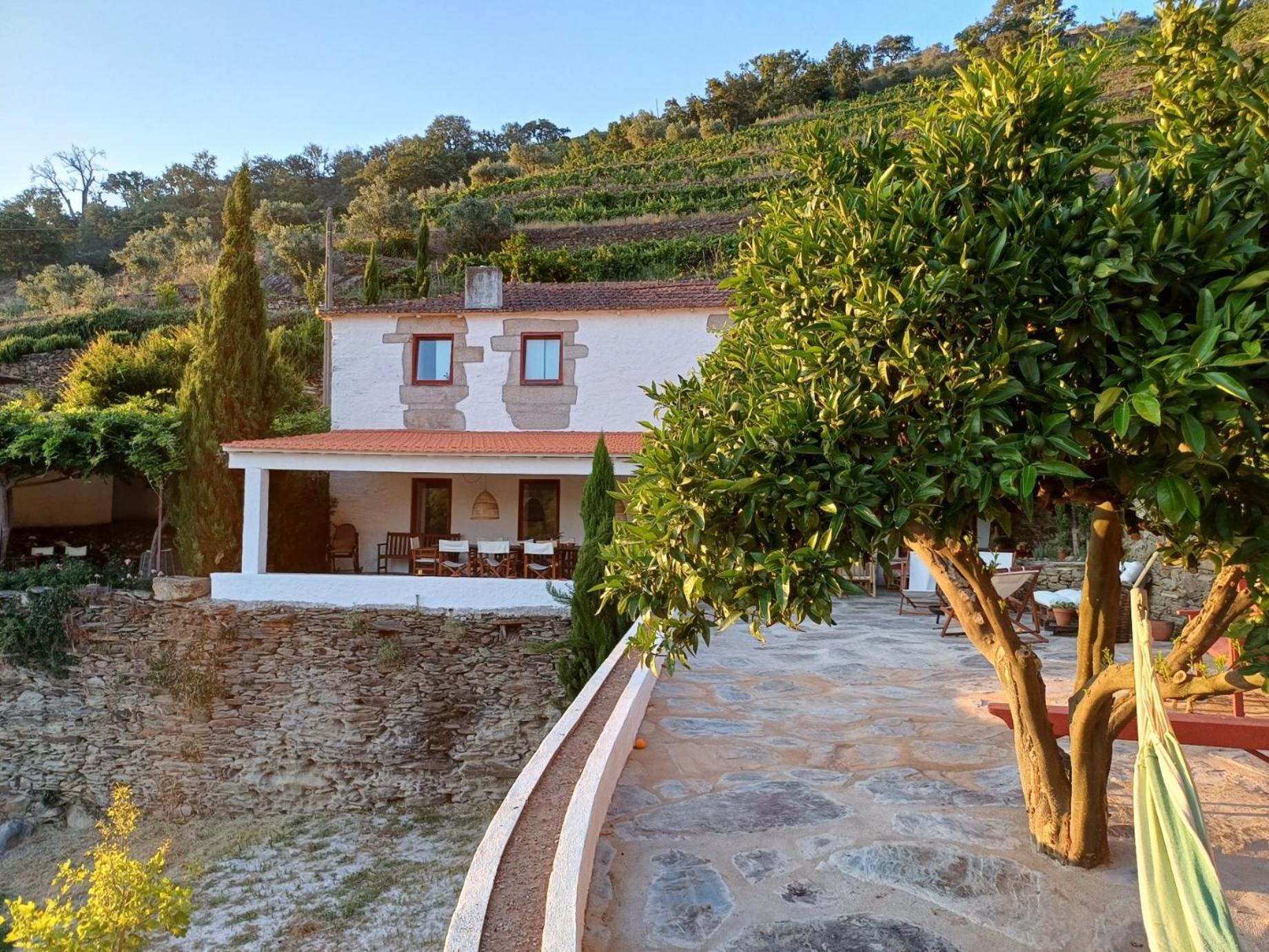 Country House Quinta Da Salgueira Alijó Exterior foto