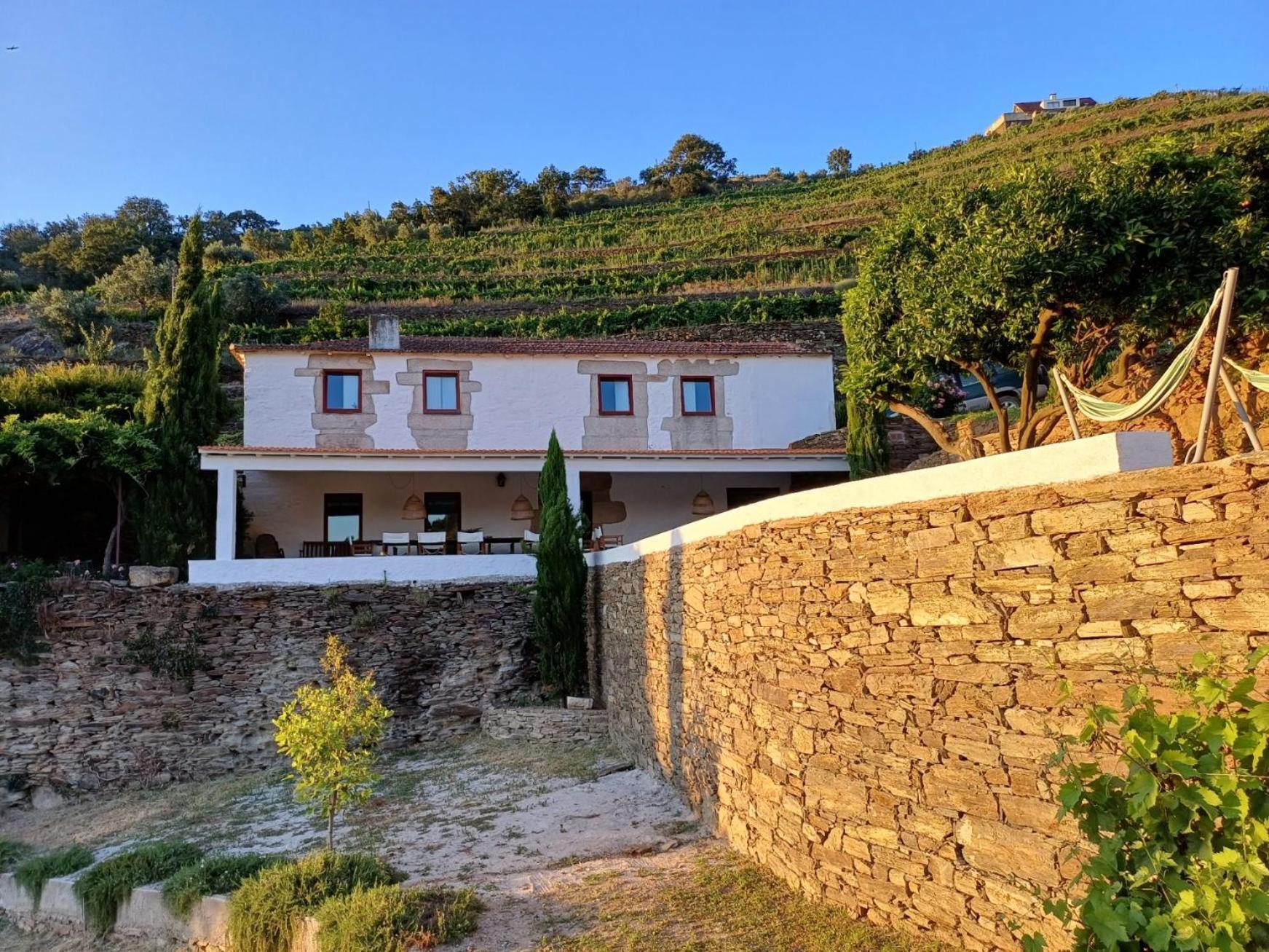Country House Quinta Da Salgueira Alijó Habitación foto